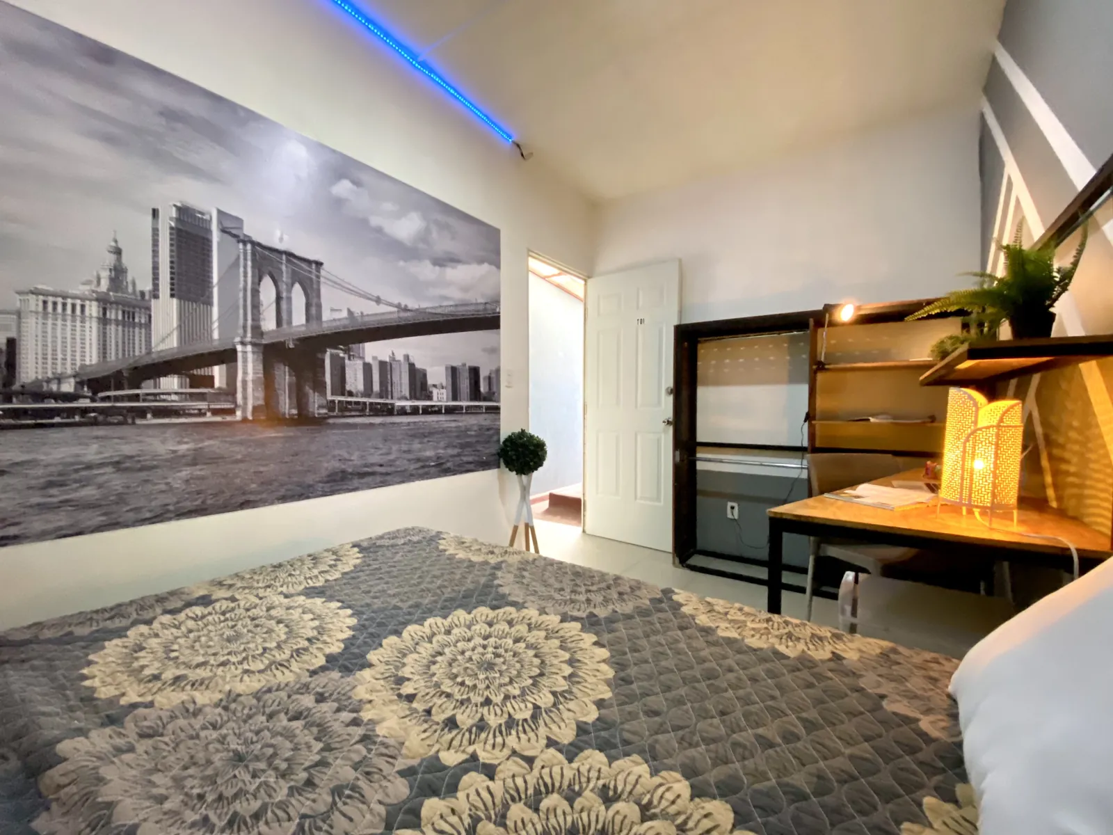 Terraza rooftop de un hostal Roomies Express en la Ciudad de México